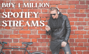 Buy 1 Million Spotify Streams FAQ