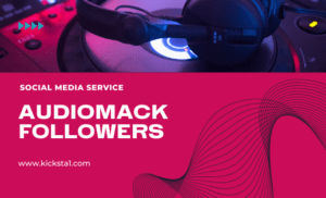 Buy Audiomack Followers Service