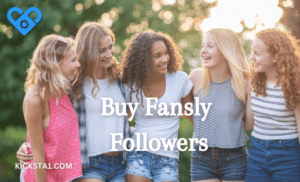 Buy Fansly Followers Now