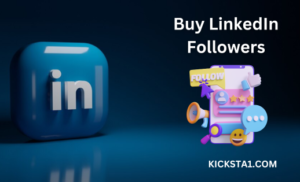 Buy LinkedIn Followers Now