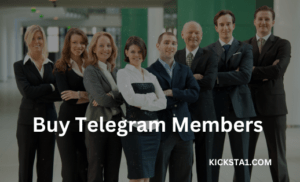Buy Telegram Members Service