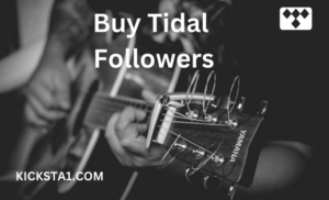 Buy Tidal Followers Here