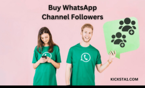 Buy WhatsApp Channel Followers Service